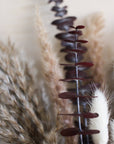 Wild Whisper: Pampas & Burgundy Eucalyptus
