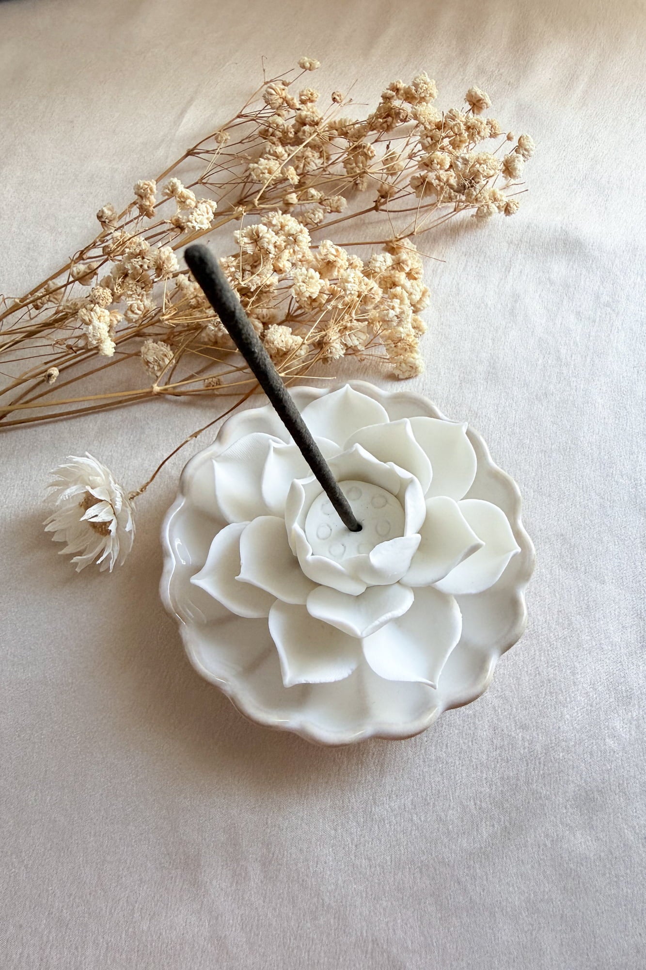 H 3.6 cm × L 7.3 cm