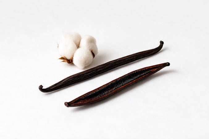 Two dark vanilla pods and a small cluster of white cotton bolls on a clean white background.